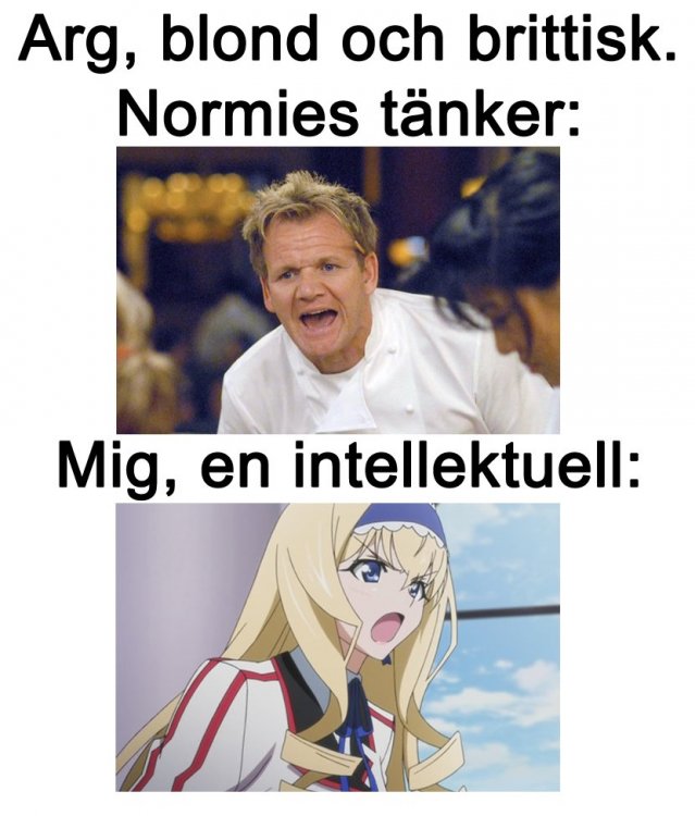 svenskanimeme.jpg