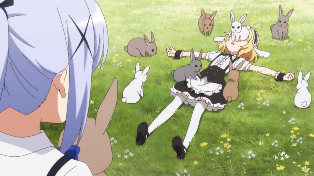 bunnies.jpg