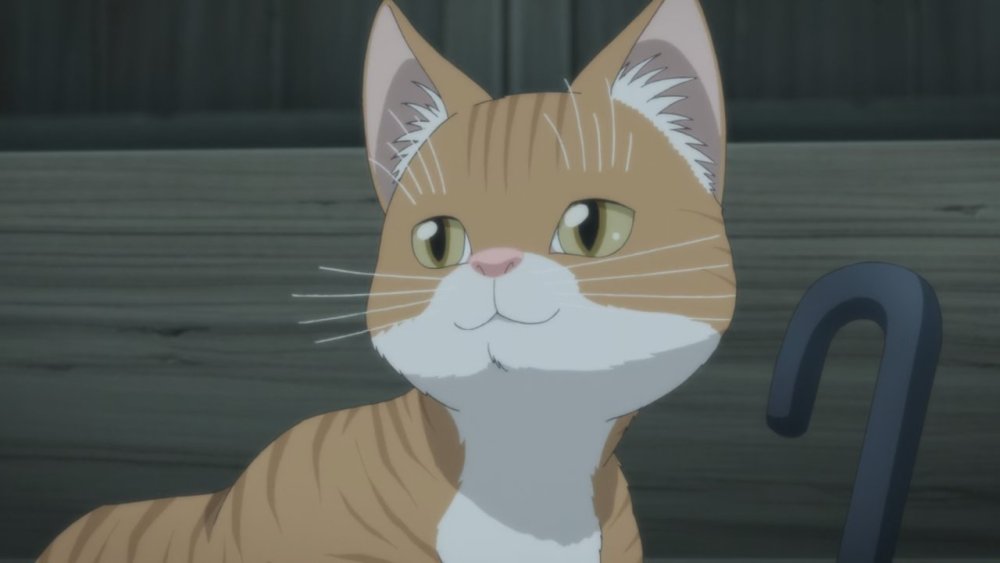 gissaanimen.jpg