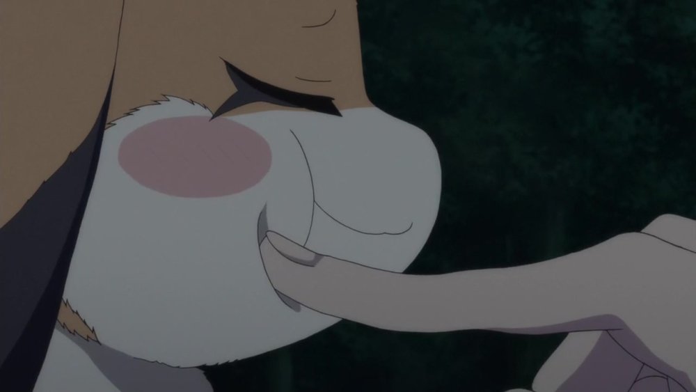 gissaanimen.jpg