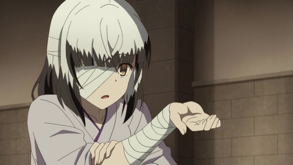 gissaanimen.jpg