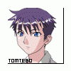 Tomtebo